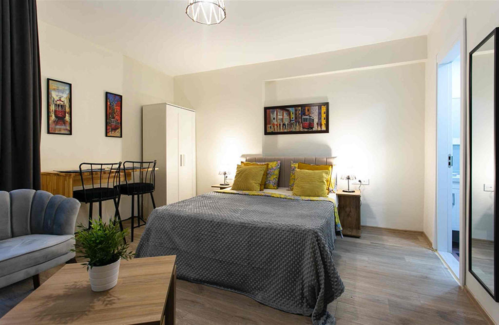 Stylish Studio in the Middle of Istiklal St. 206
