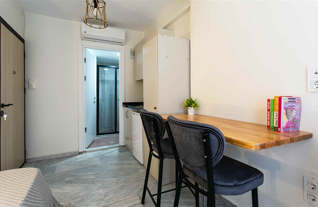 Very Cute Little studio near Istiklal Street 201