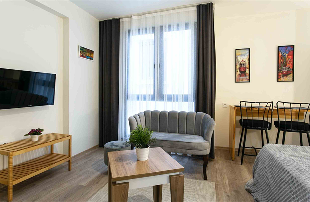 Stylish Studio in the Middle of Istiklal St. 206