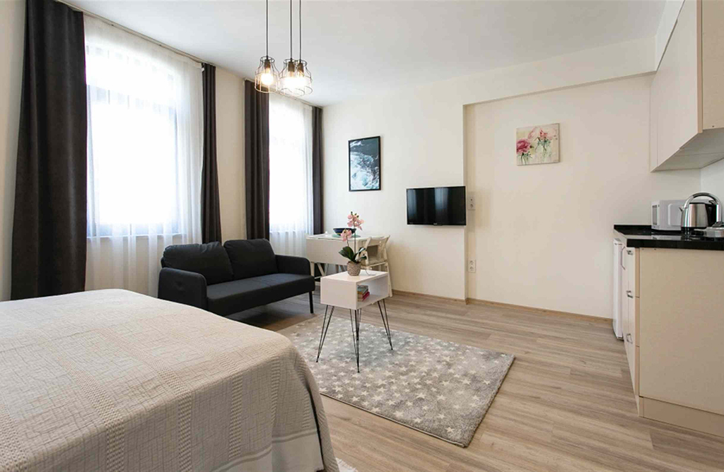 Spacious Studio near Istiklal Street 207