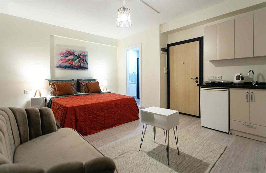 Comfortable Studio near Istiklal Street 202