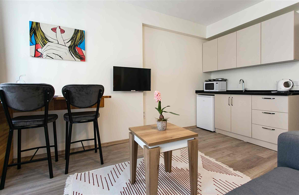 Beautiful Studio with Balcony in Taksim Square 205