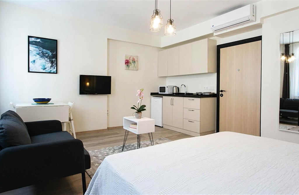 Spacious Studio near Istiklal Street 207