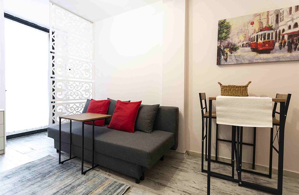 Comfortable Studio in the middle of Cihangir